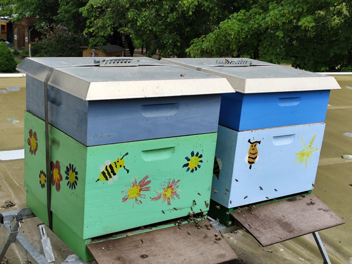 Unser Bienenprojekt Unser Bienenprojekt